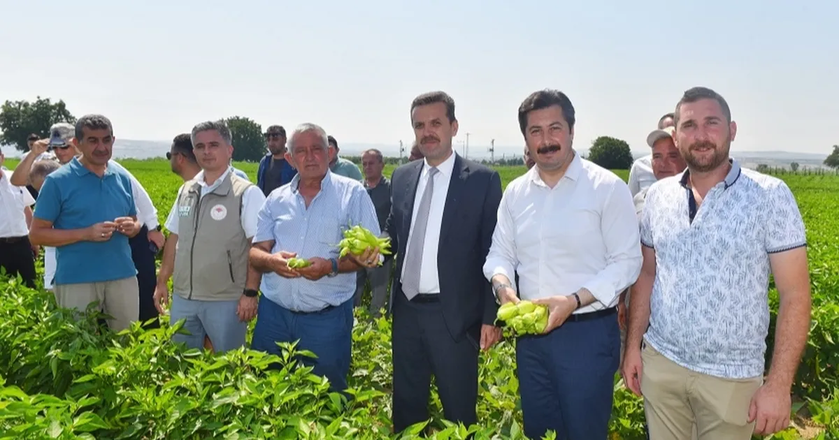 Yenişehir Biberi’nin marka değeri artacak