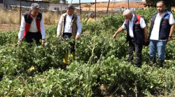 Bilecik Pazaryeri’nde yağıştan zarar gören arazilere yakın mercek